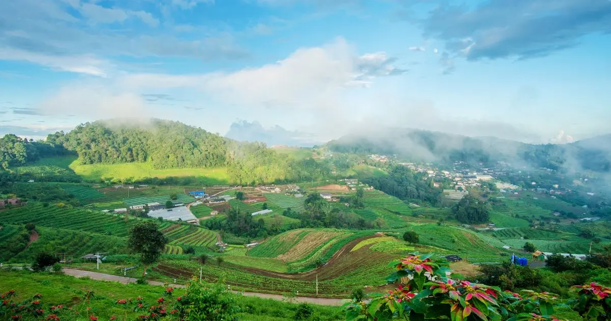 Multiple Thailand cities showing Bangkok Pattaya Phuket Chiang Mai Krabi Koh Samui guides