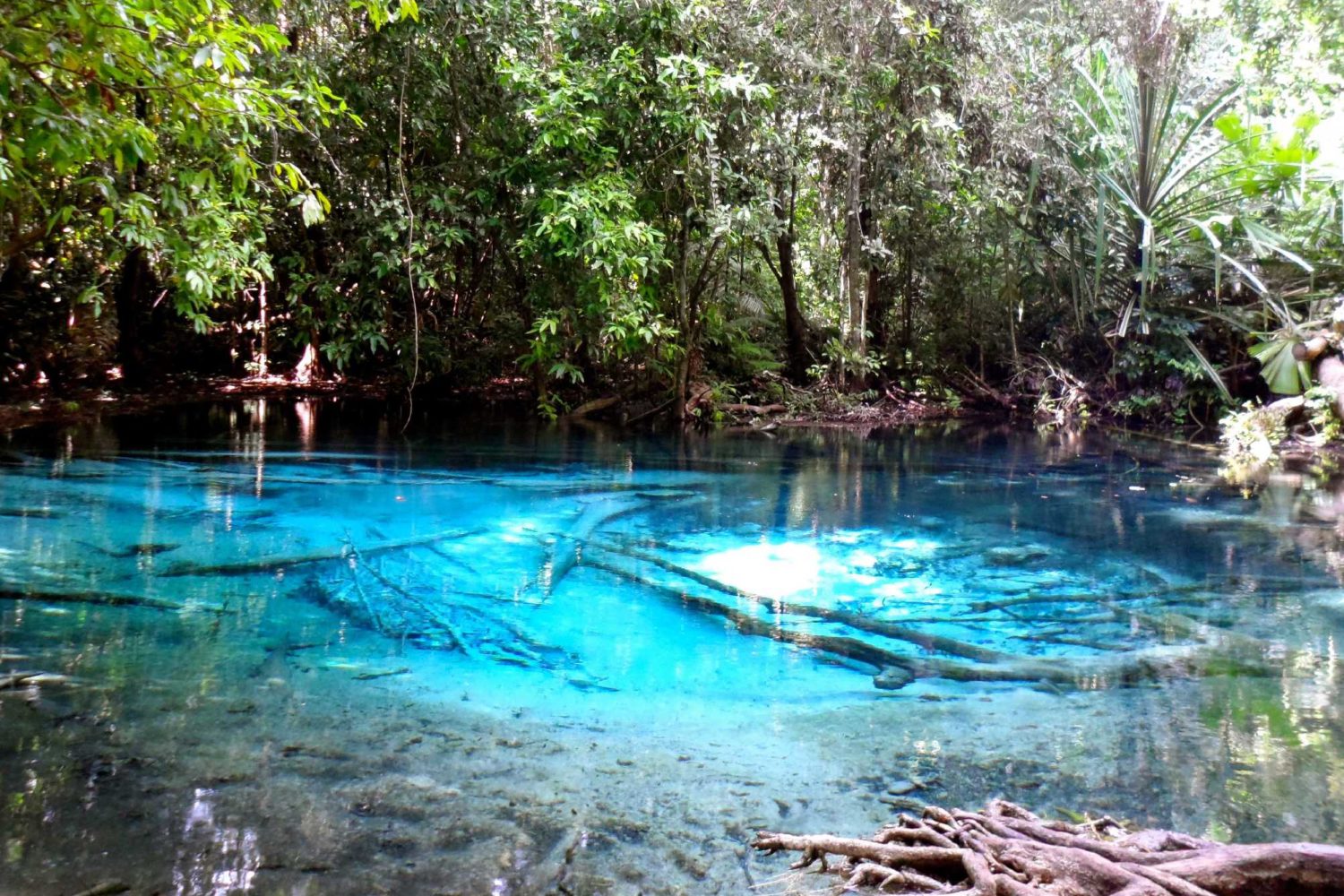 Emerald Pool Krabi